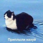 IMG_4781.jpeg