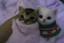 1791208350402.png