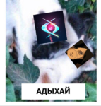 геннадий адыхай.png