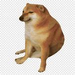 png-transparent-cheems-dog.png