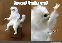 Без названия (10).jpeg