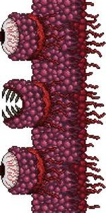 Без названия (15).jpeg