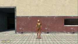 загруженное (9).jpeg