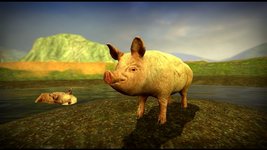 загруженное (14).jpeg