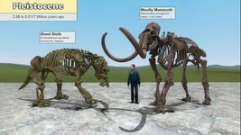 загруженное (18).jpeg