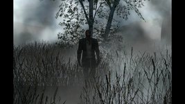 загруженное (45).jpeg