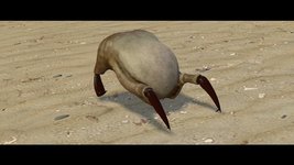 загруженное (49).jpeg