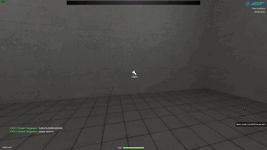 Garrysmod 2024.06.09 - 22.25.55.07.gif
