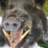 Максим Ващенко