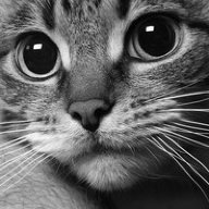 Роберт Хьюгов