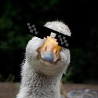 Роман Монолит