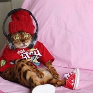 Леван Соколов