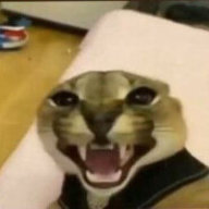 Леонов Вадим