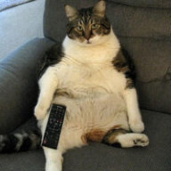 джон абебов