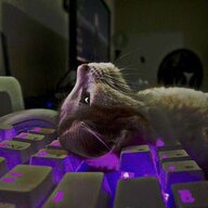 Сэм Кремлёв