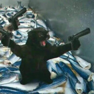 Артём Решетин