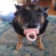 Адольф Бубликов