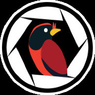 Staniclav Blackberry