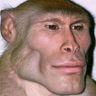 Толя Дальнобой