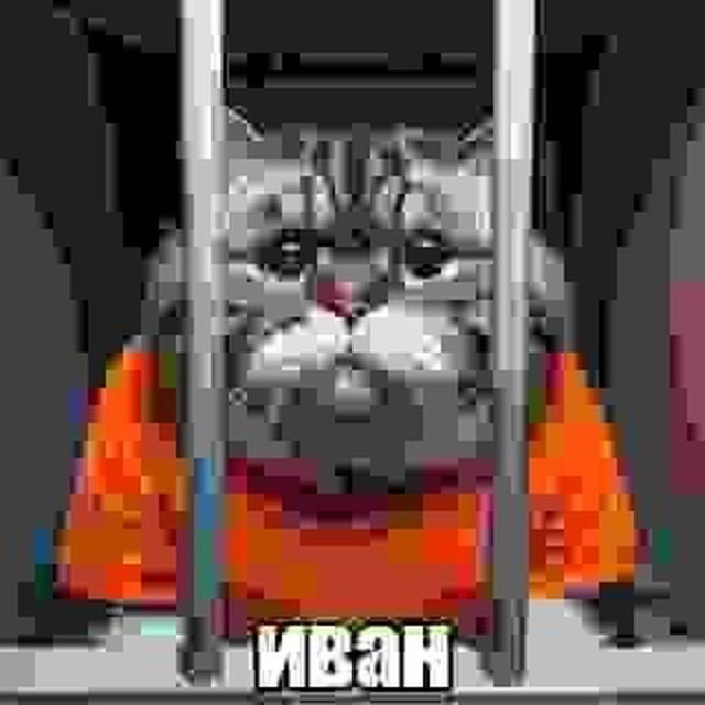 IZOBRAZENIE_2026-05-10_120917103634916d929b7fc45.png