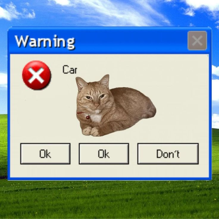 image582c12567e0ff3a3.png