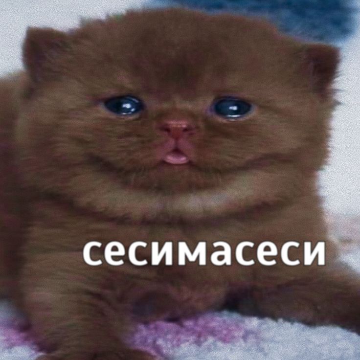 e7ee7ceb4b73baecc0fe1ec1bab0626d.jpg
