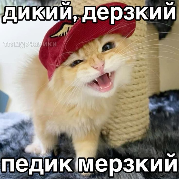 image97a08e7d36283106.png