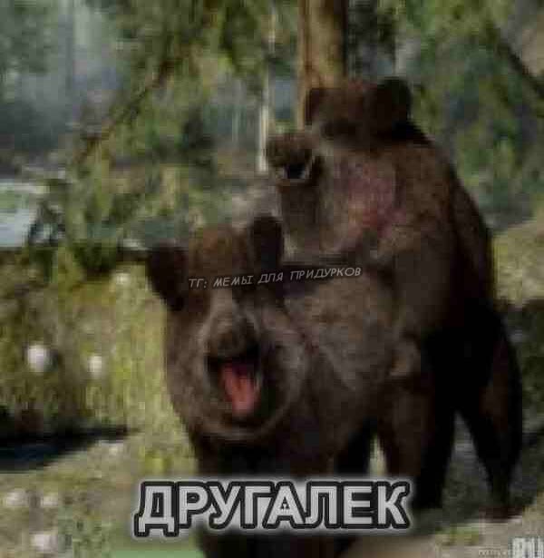 2413640b54e978ab43160e214fe5763f.jpg