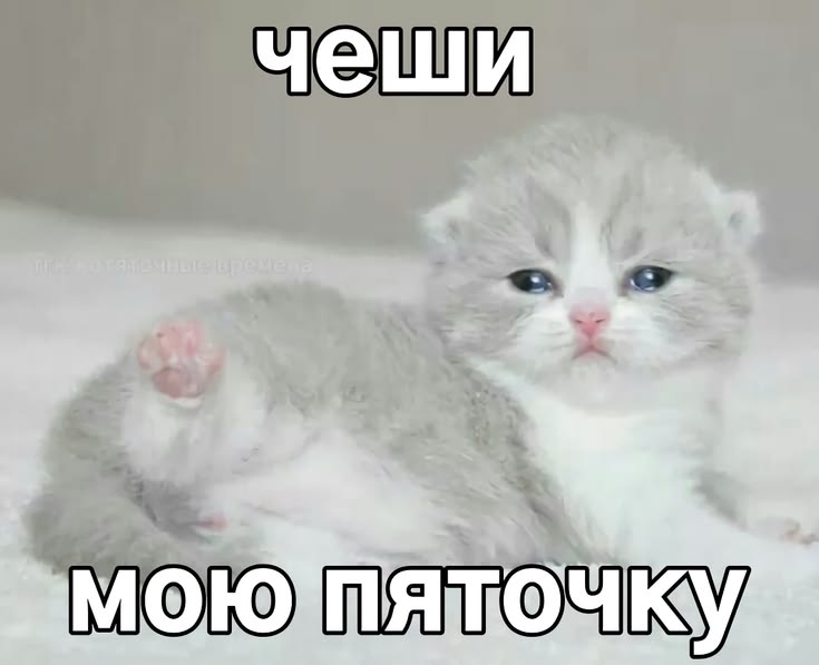 8e2322beaae7c6ff366239f956f8acad.jpg