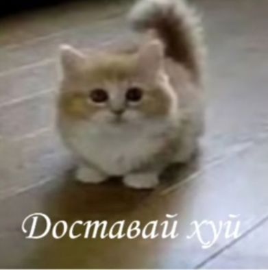 50ae9a50a3e26af57244180d3eda41b6.jpg